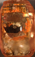 ORANGE CAR, detail
