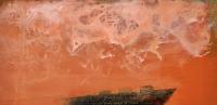 LH-SOS 203
various pigments on panel
21" x 15" - © 2026 JAN CHENOWETH